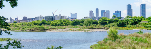 多摩川