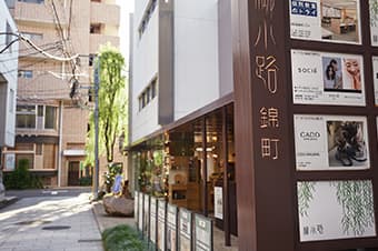 柳小路