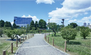 御幸公園