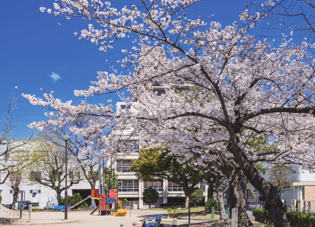 東白壁公園