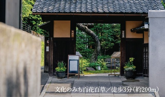 文化のみち百花百草