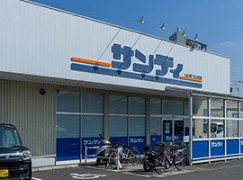 サンディ