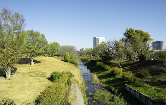 県立相模三川公園