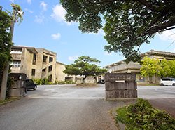名護市立 大宮小学校
