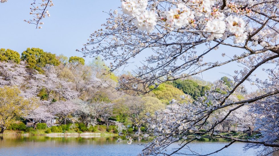三ツ池公園