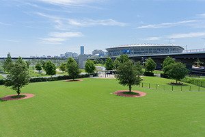 新横浜公園【提供写真】