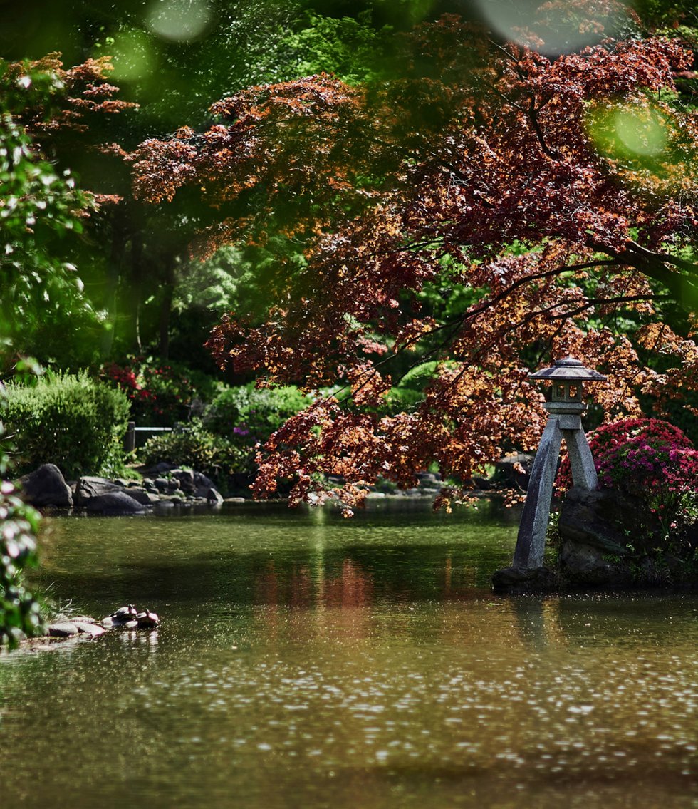 有栖川宮記念公園