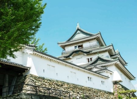 和歌山城天守閣