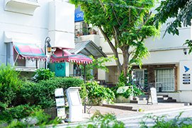 西千葉マロニエ商店会