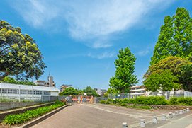 市立弥生小学校