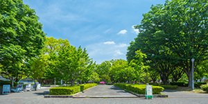 千葉大学 西千葉キャンパス