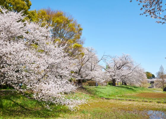 大宮第二公園
