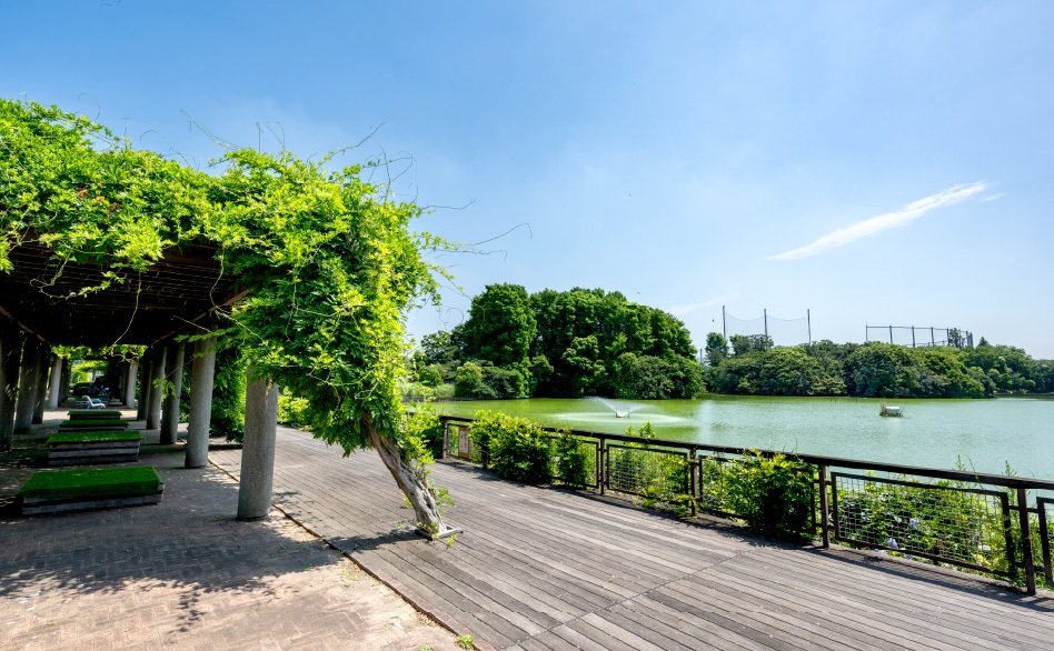 等々力緑地