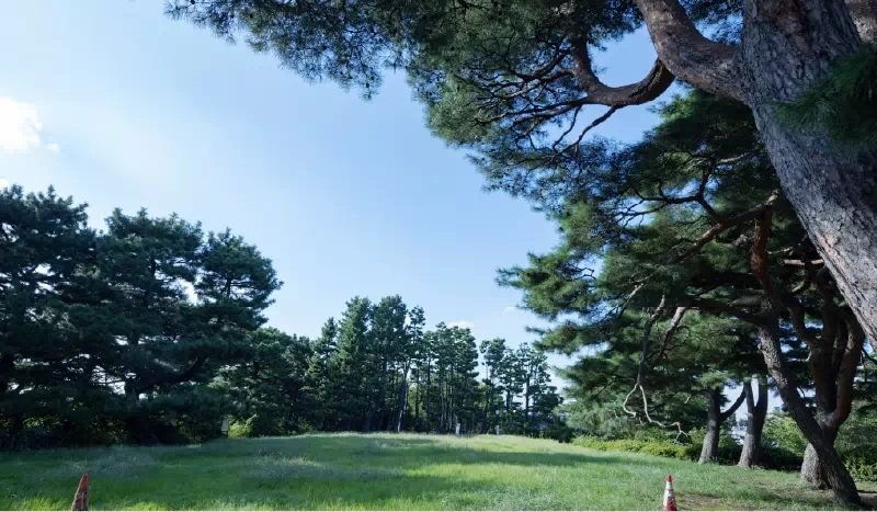 鵜の木松山公園