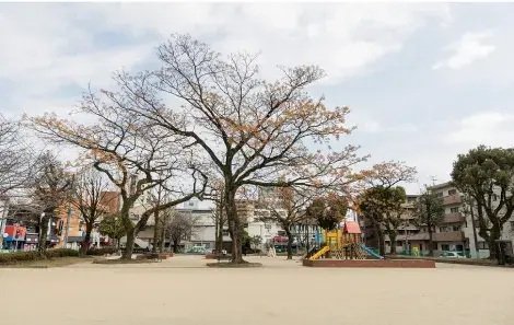 騎射場公園