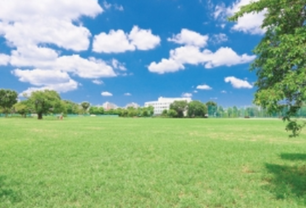 武蔵野中央公園
