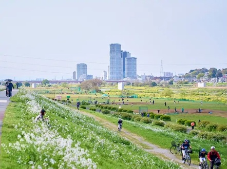 多摩川緑地
