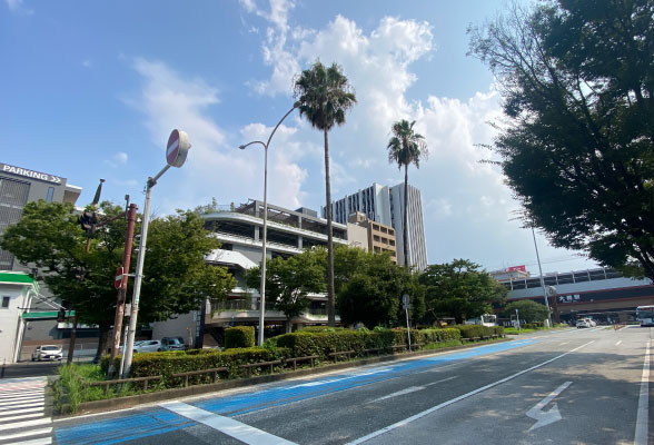 OHASHI HILL