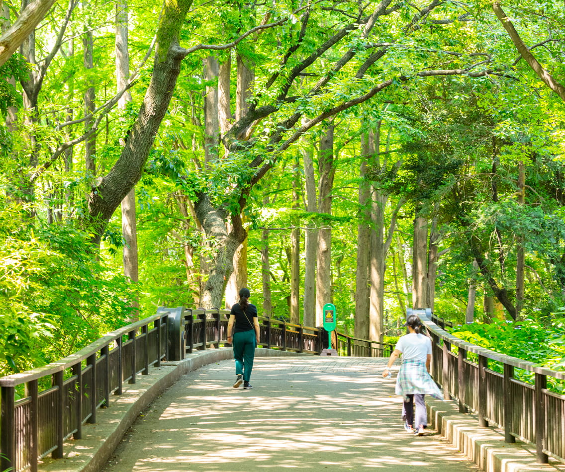 林試の森公園