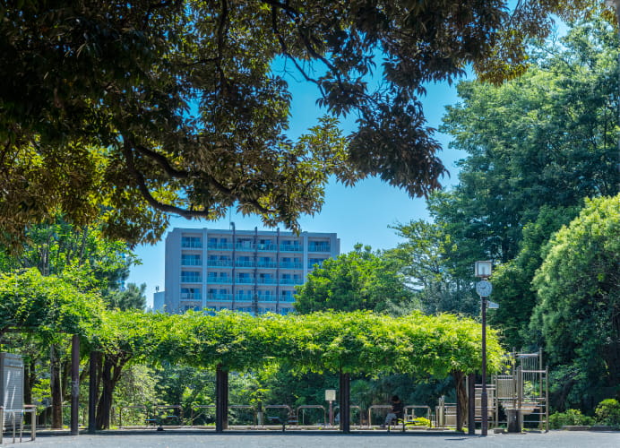 不動公園