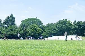 平和の森公園