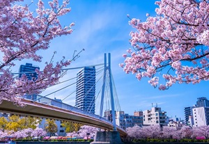 毛馬桜之宮公園