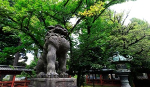 根津神社