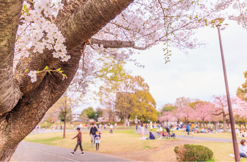東大和南公園