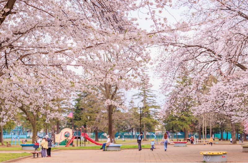 大南公園