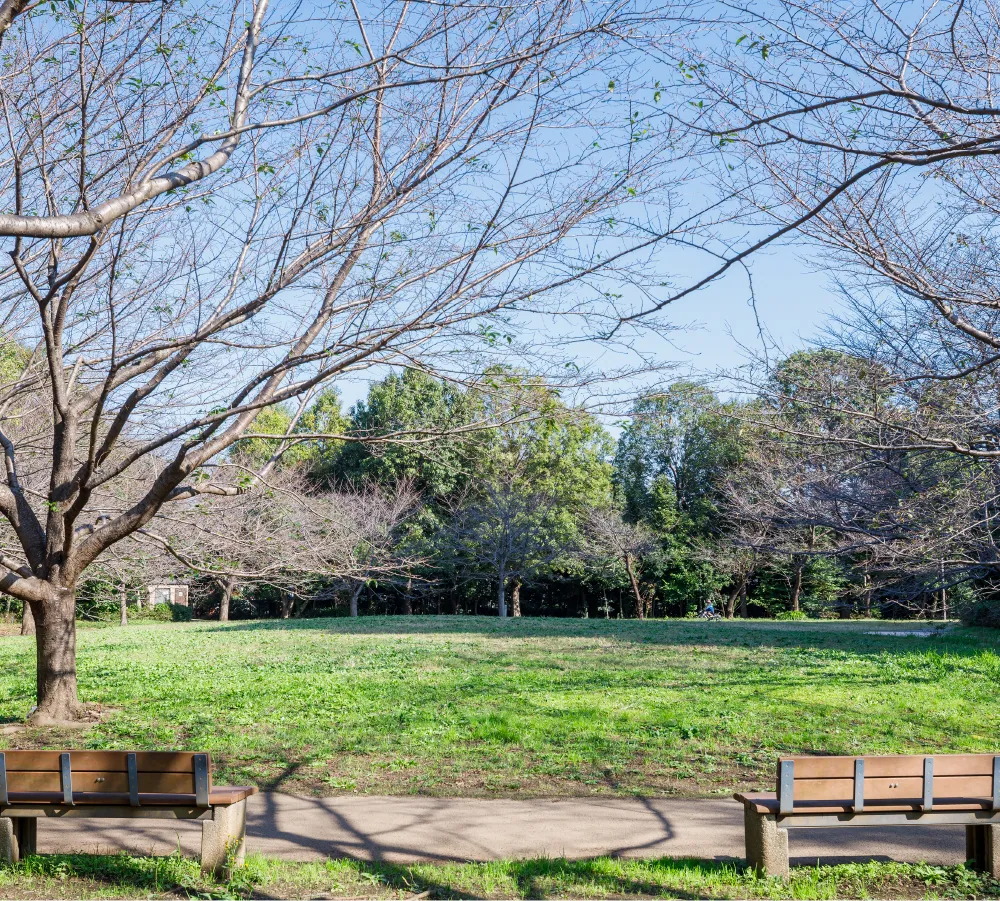 民設
萩山四季の森公園