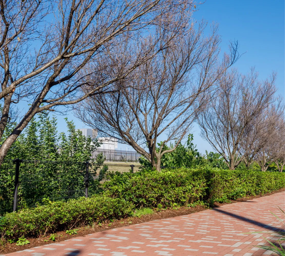 空堀川遊歩道