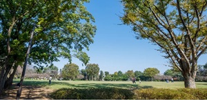 東村山中央公園