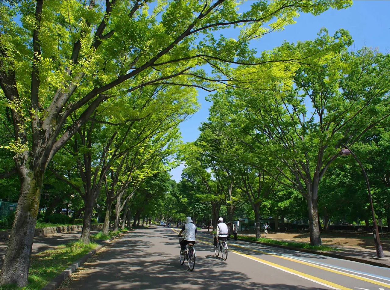 駒沢オリンピック公園