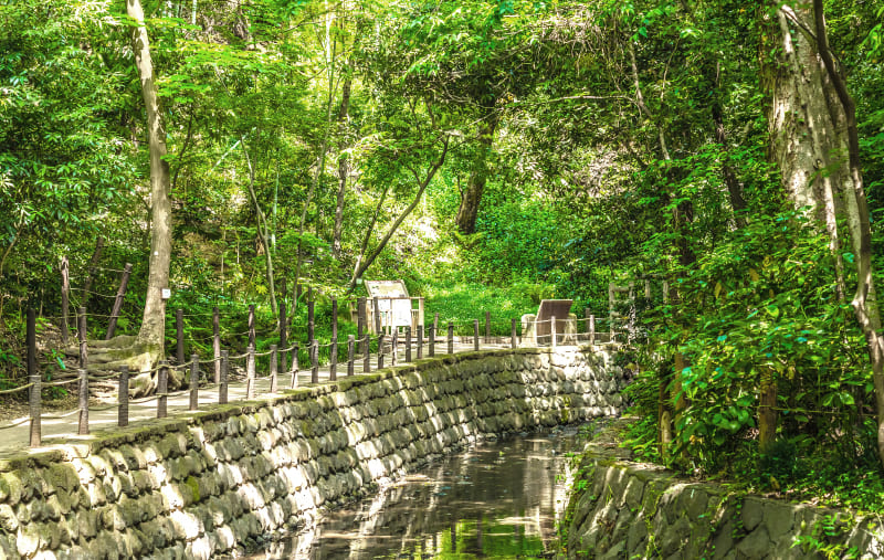 等々力渓谷公園