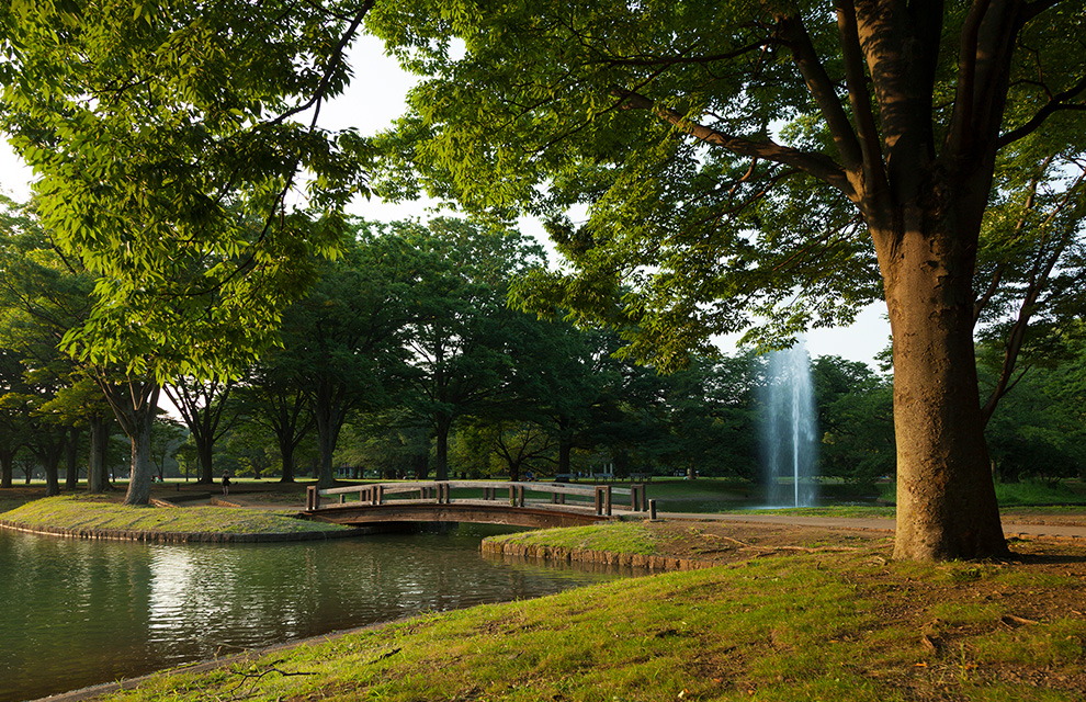 代々木公園