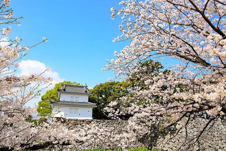 大分城址公園