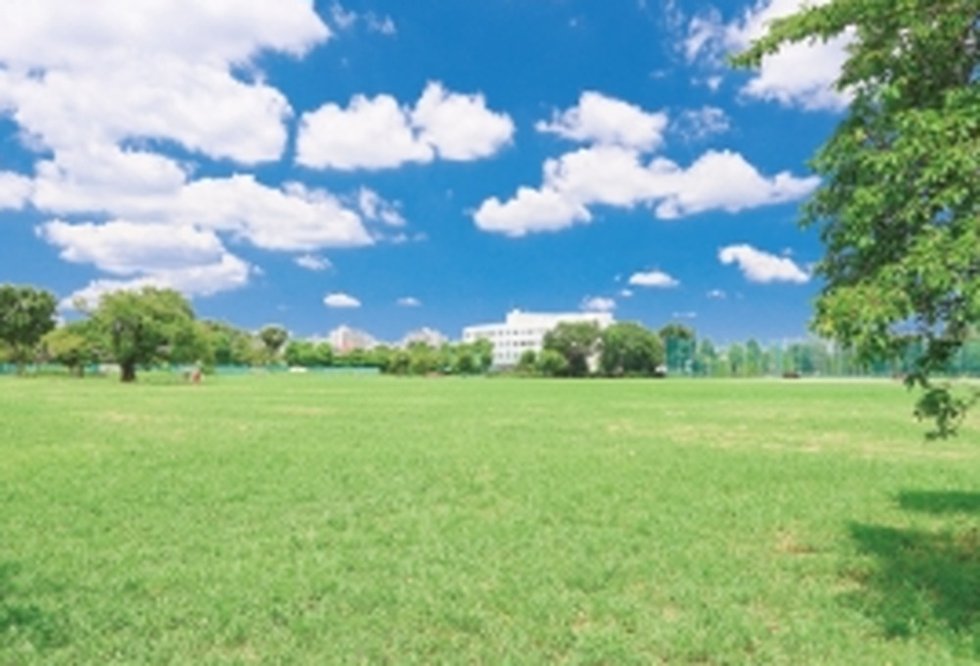 武蔵野中央公園