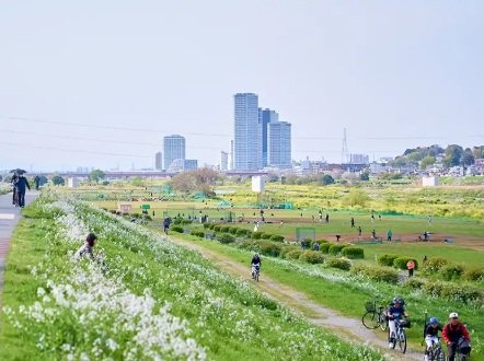 多摩川緑地