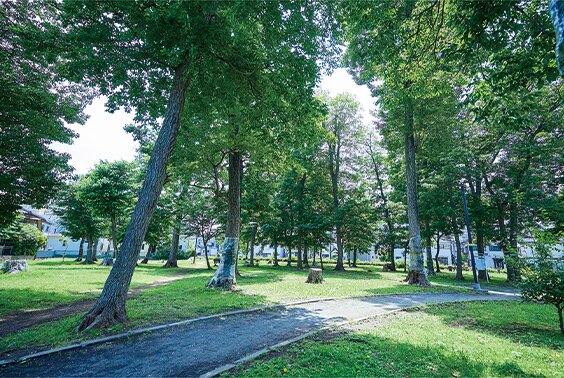 緑の散歩道権平山