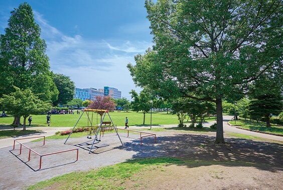 文化の杜公園