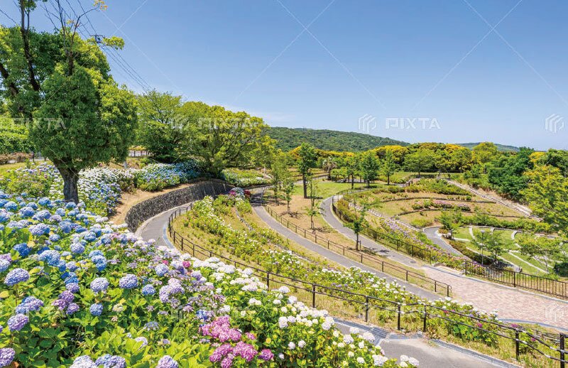 高塔山公園