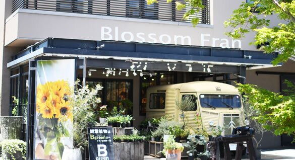ブロッサム フラン