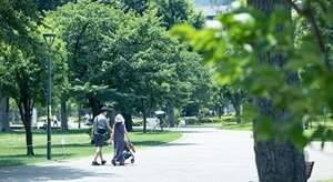 中野四季の森公園