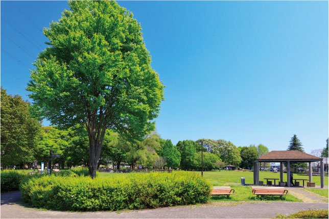 今泉中央公園