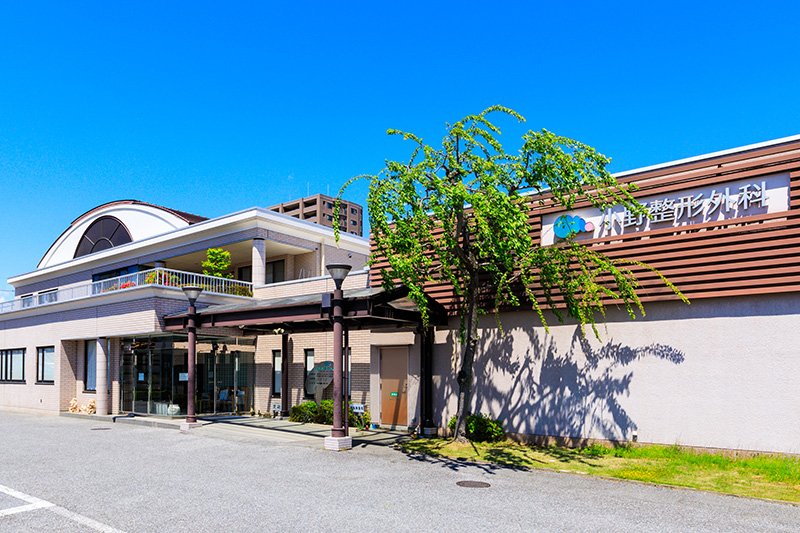 小野整形外科