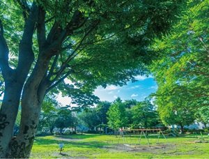 連雀中央公園