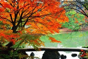 六義園