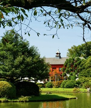 小石川植物園