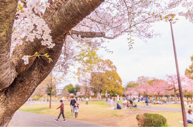 東大和南公園