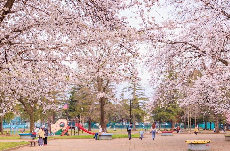 大南公園